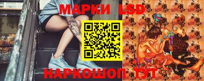 гашик Бердск