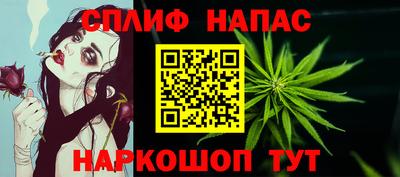 гашик Бердск